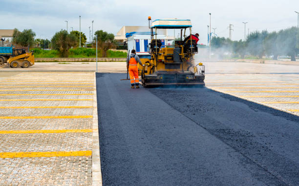 Best Local Driveway Pavers  in Largo, FL