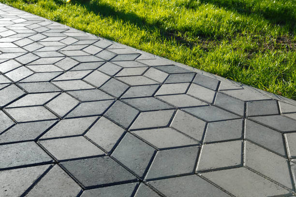 Best Local Driveway Pavers  in Largo, FL