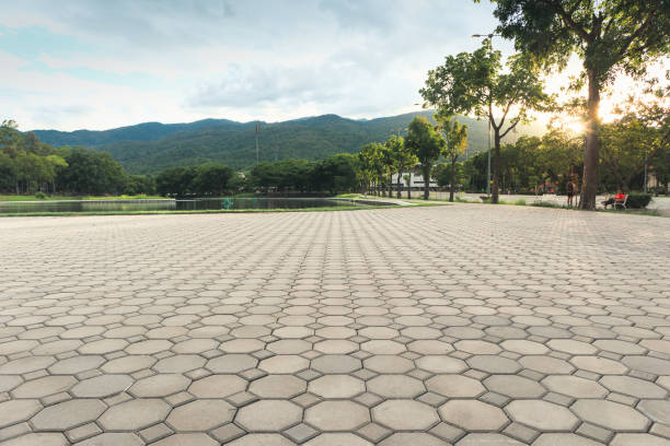 Permeable Paver Driveway in Largo, FL