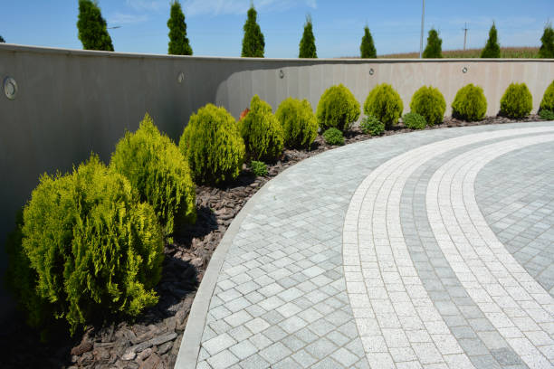 Best Professional Driveway Pavers  in Largo, FL