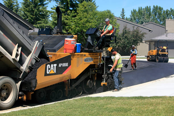 Best Residential Driveway Paver Services  in Largo, FL